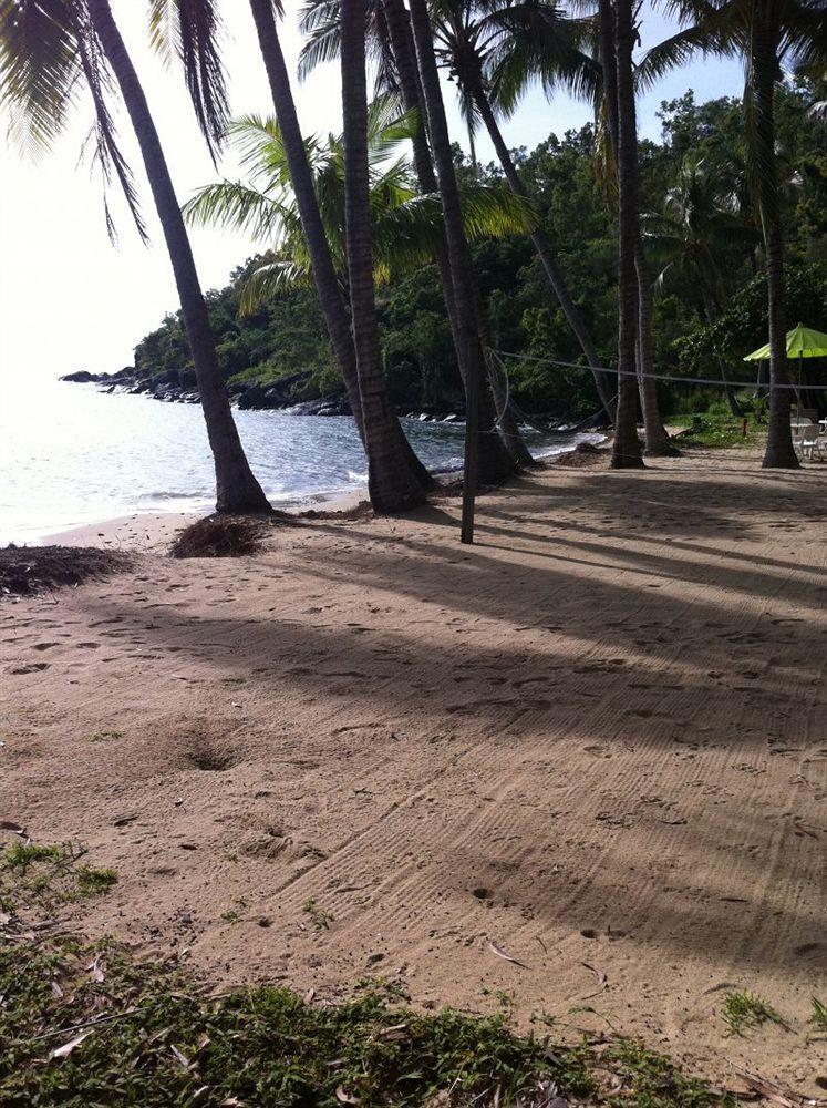 Turtle Cove Beach Resort - Adults Only Lgbtqia & Allies Wangetti Kültér fotó